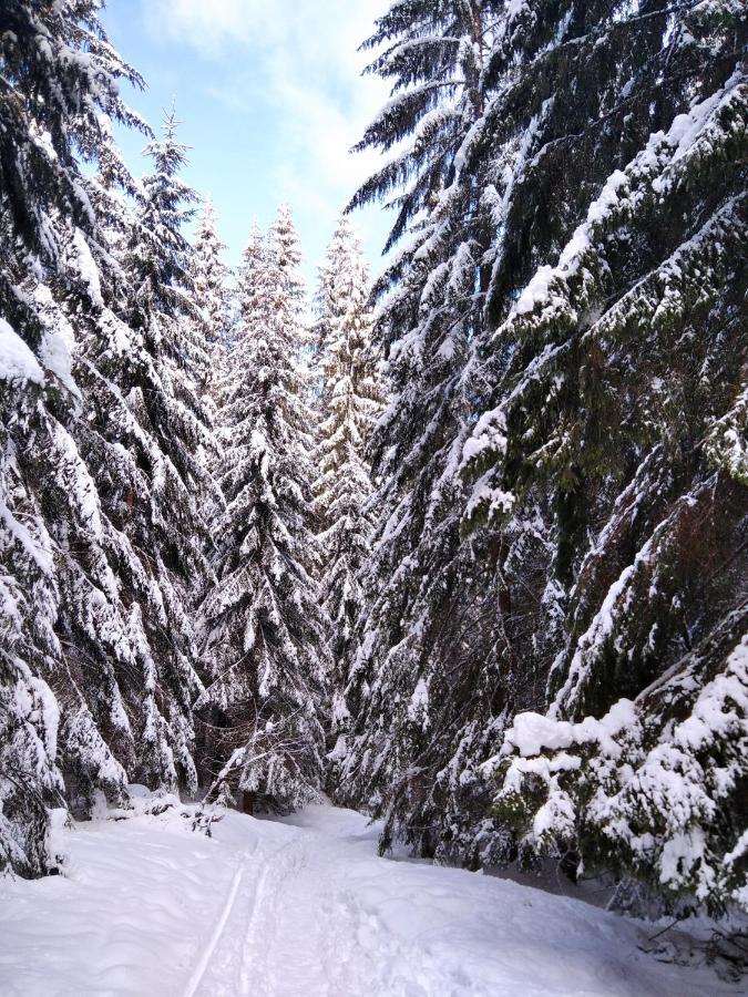 Ski apartmány Spiežovec Donovaly Exteriér fotografie